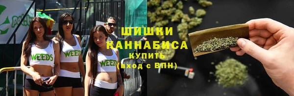 apvp Гусь-Хрустальный