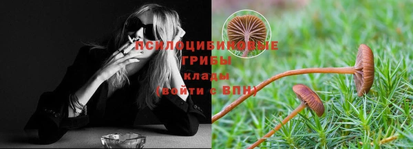 эйфоретик Гусев