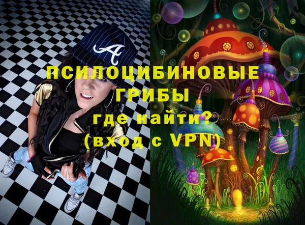 эйфоретик Гусев