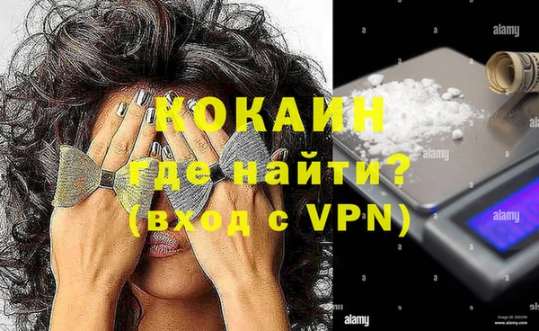 эйфоретик Гусев