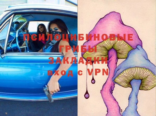 apvp Гусь-Хрустальный