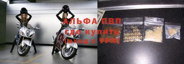 эйфоретик Гусев