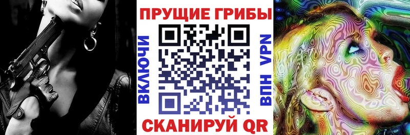 ОМГ ОМГ вход Железногорск-Илимский Псилоцибиновые грибы мицелий